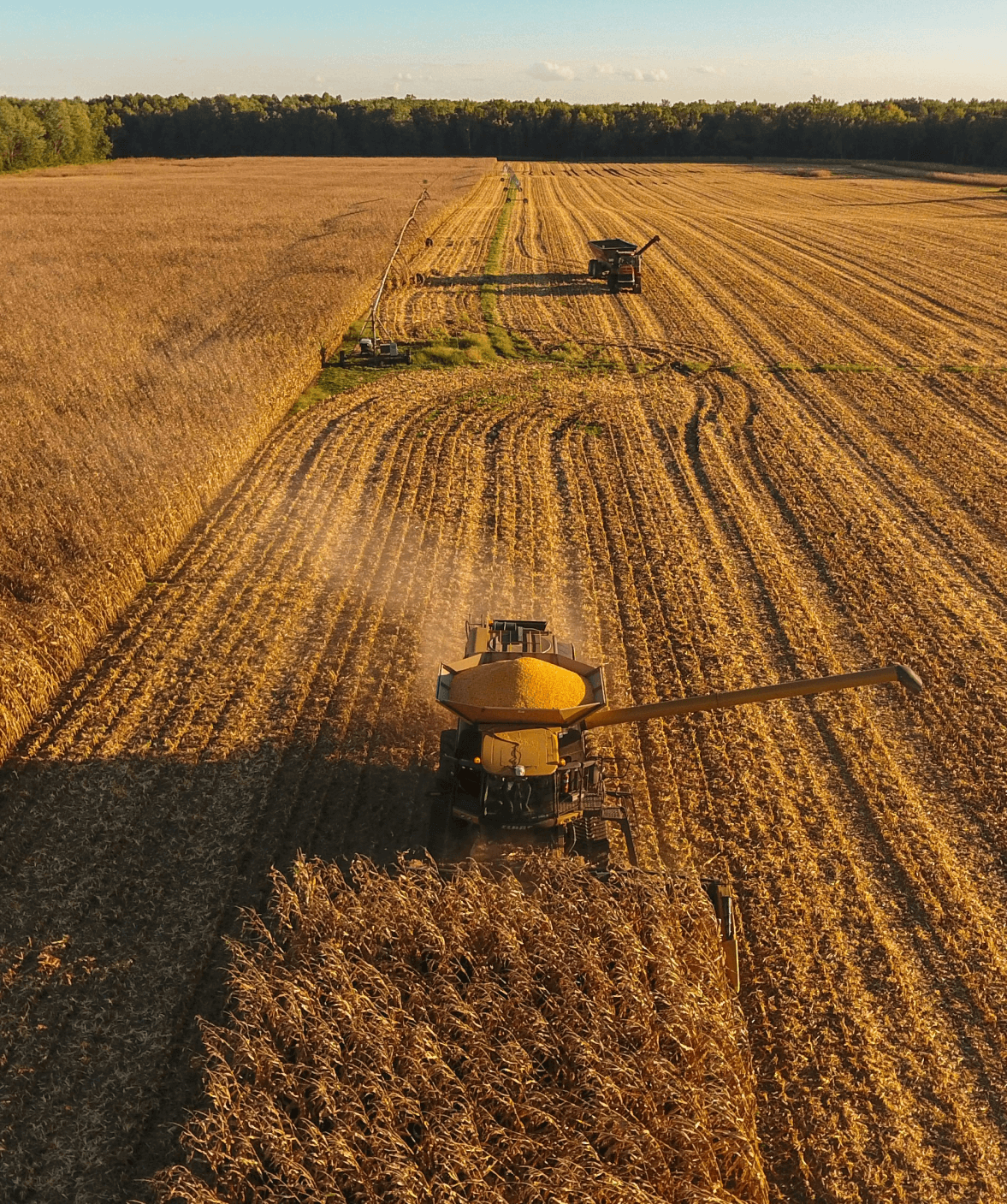 Vista aerea di un trattore che lavora su un campo di grano, evidenziando l'importanza dei servizi satellitari per l'agricoltura nella gestione delle coltivazioni.